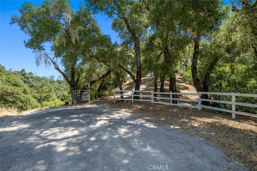 8610 Fawn Lane