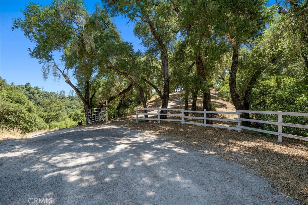 8610 Fawn Lane