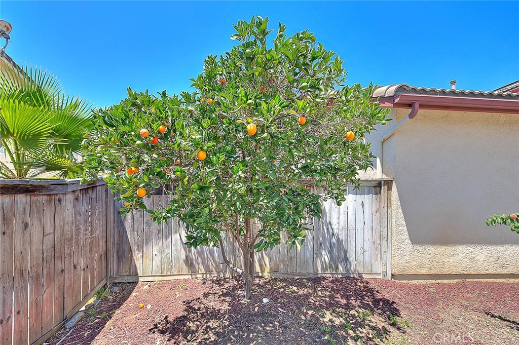 1430 Orange Tree Lane