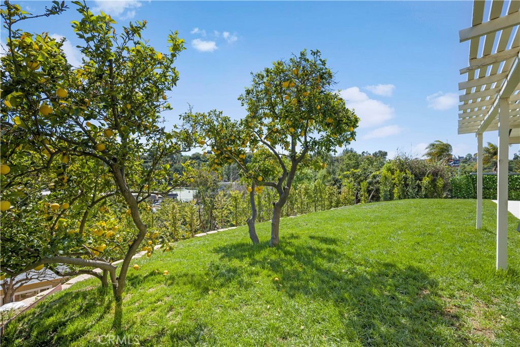 621 Camino Cerrado