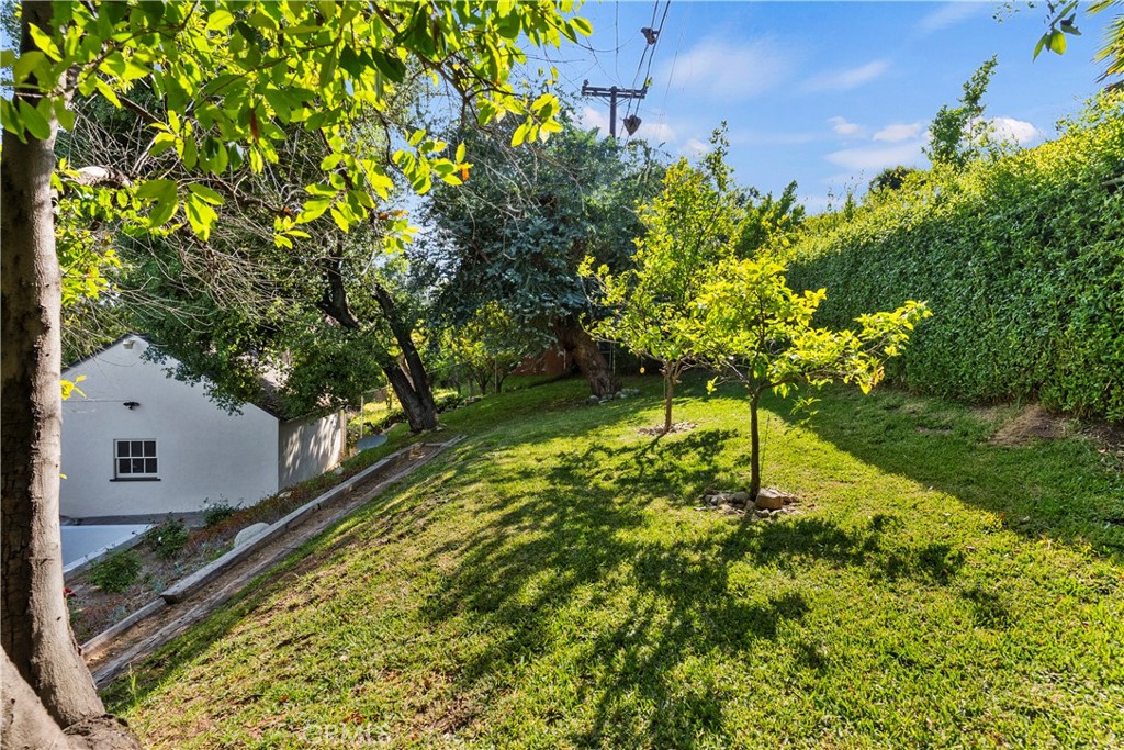 4637 Alveo Road