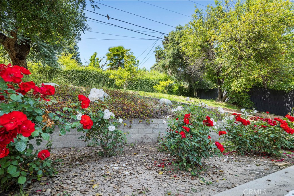 4637 Alveo Road