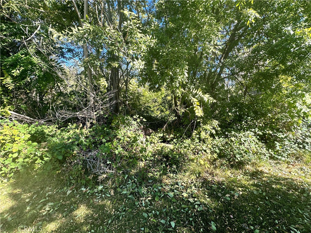 0 Lytle Creek Road