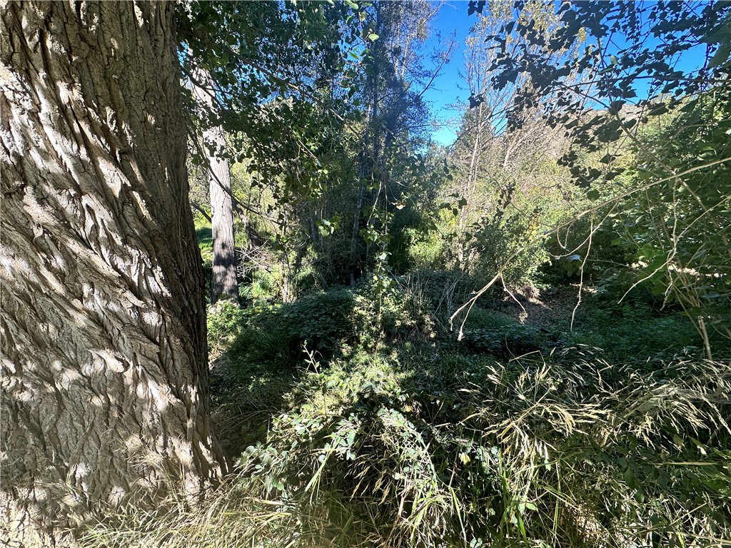0 Lytle Creek Road