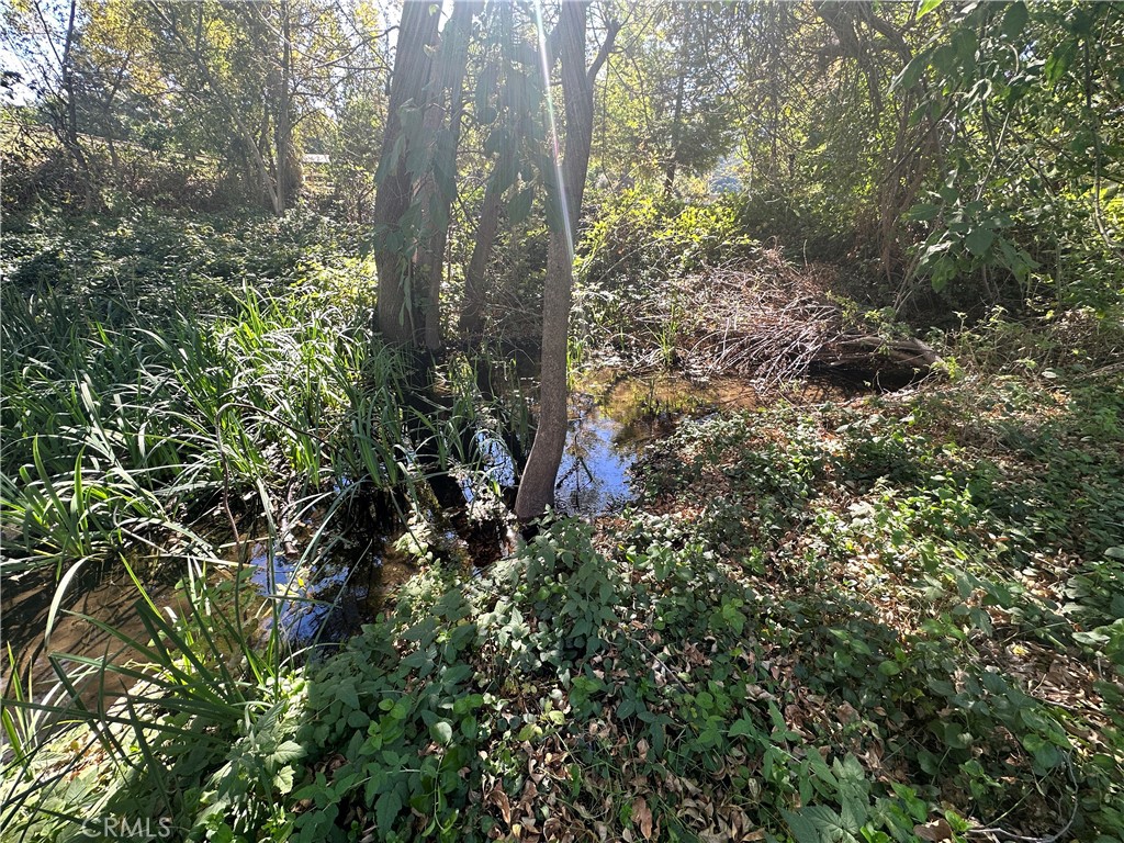 0 Lytle Creek Road