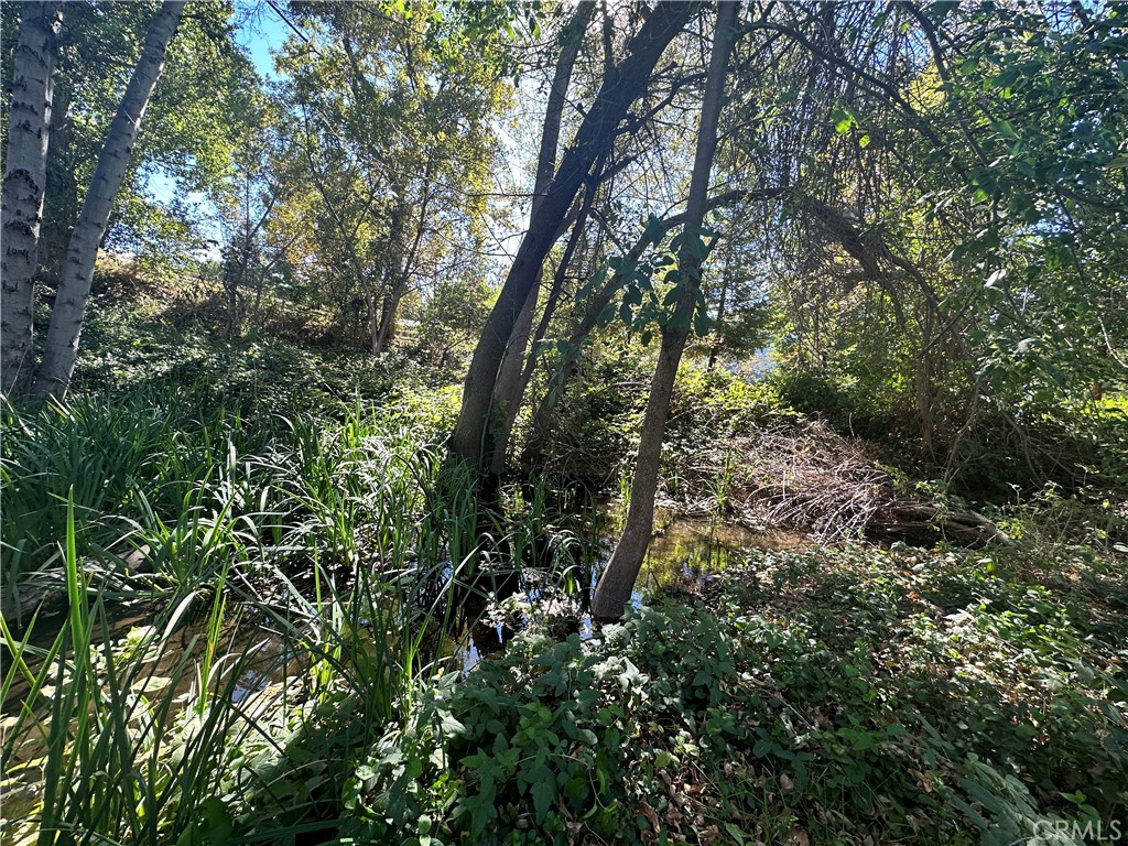 0 Lytle Creek Road