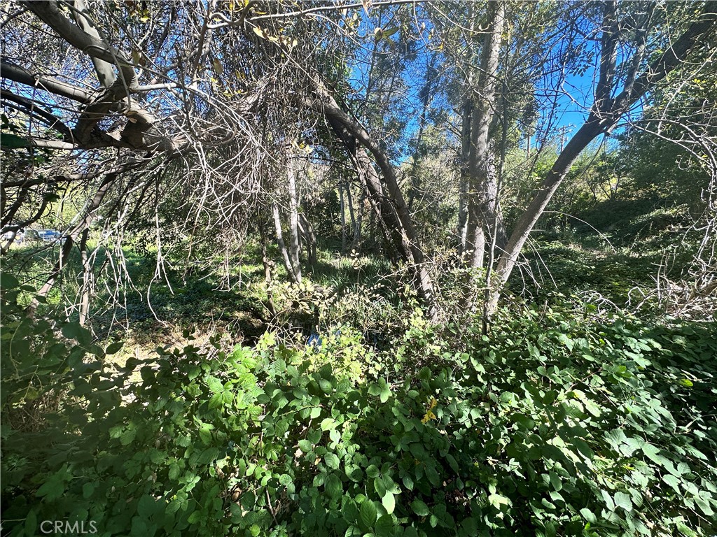 0 Lytle Creek Road