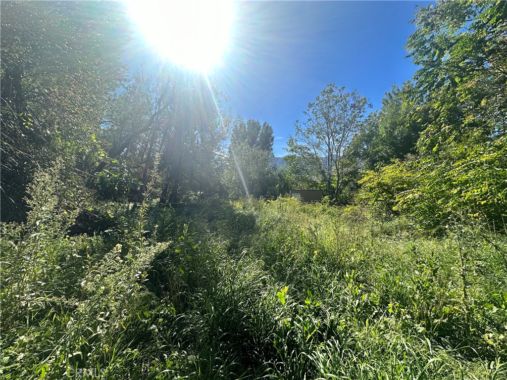 0 Lytle Creek Road