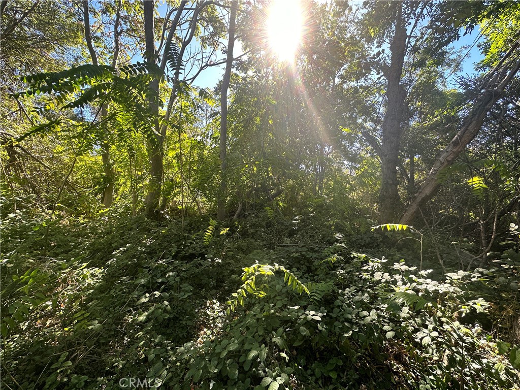 0 Lytle Creek Road