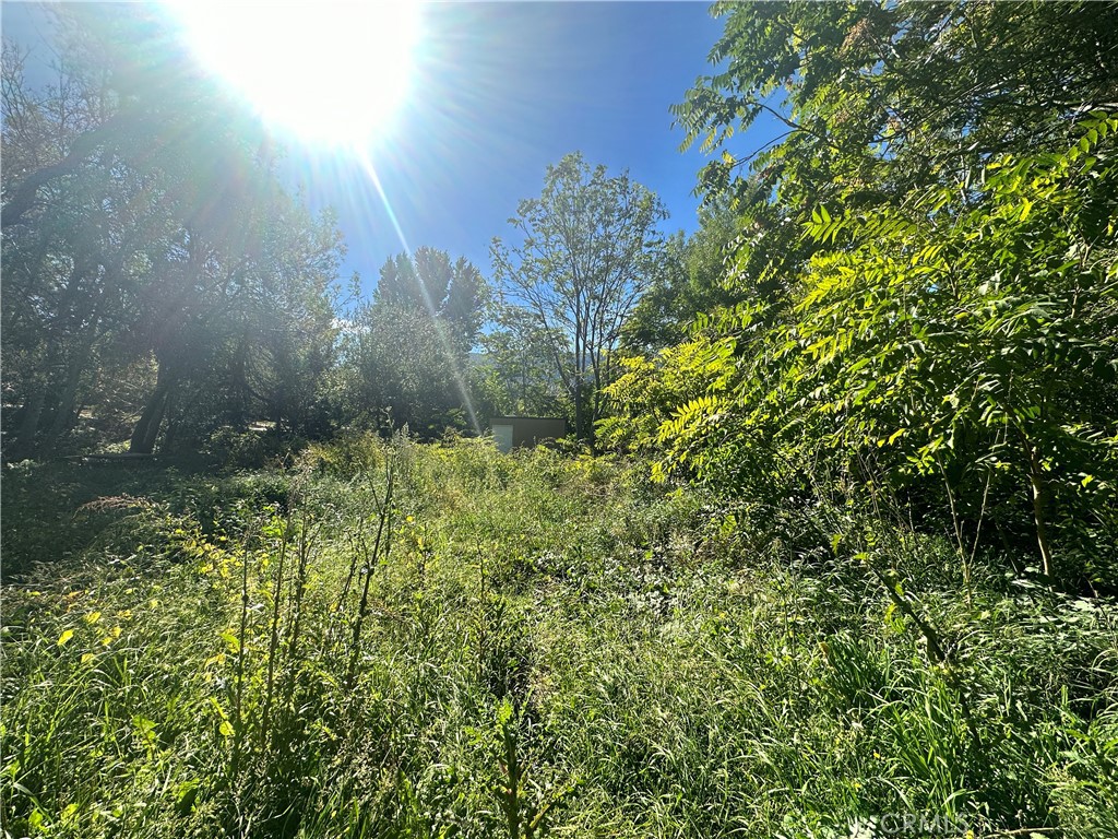 0 Lytle Creek Road