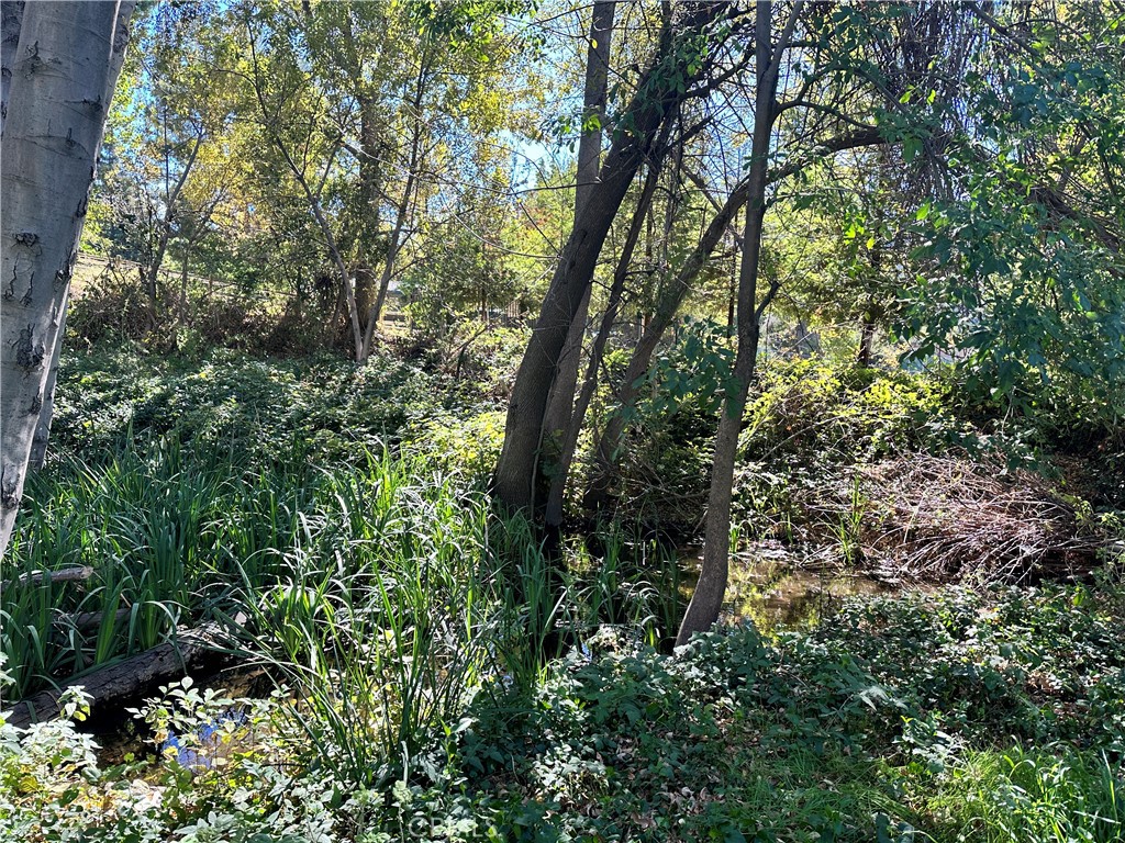 0 Lytle Creek Road