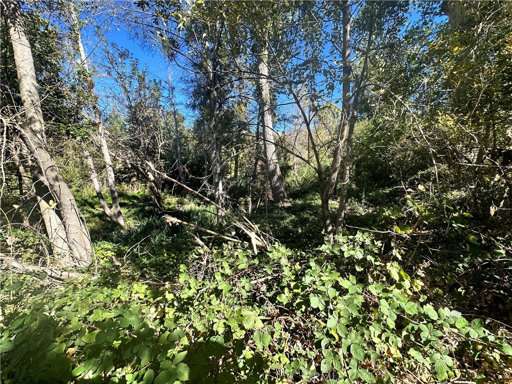 0 Lytle Creek Road