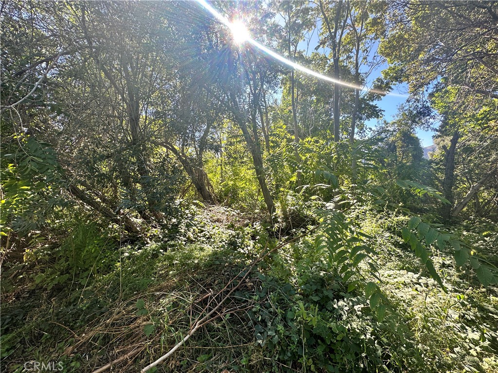 0 Lytle Creek Road