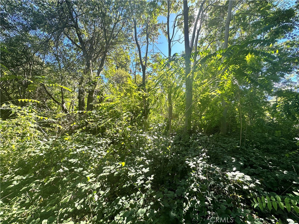 0 Lytle Creek Road