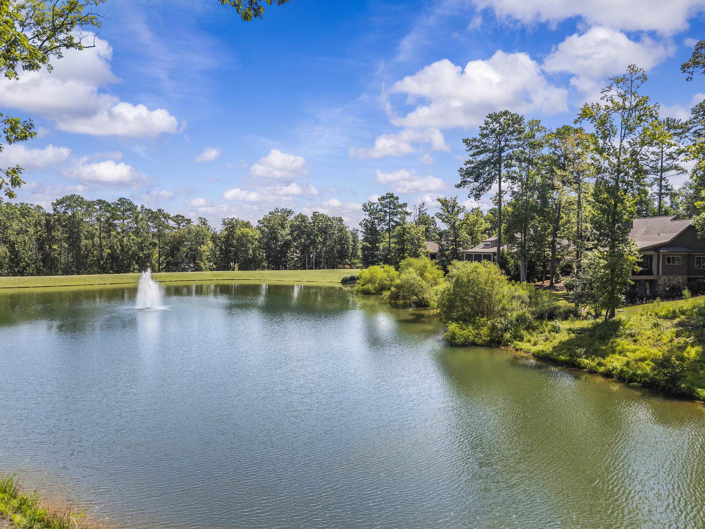 1081 ANGEL POND WEST