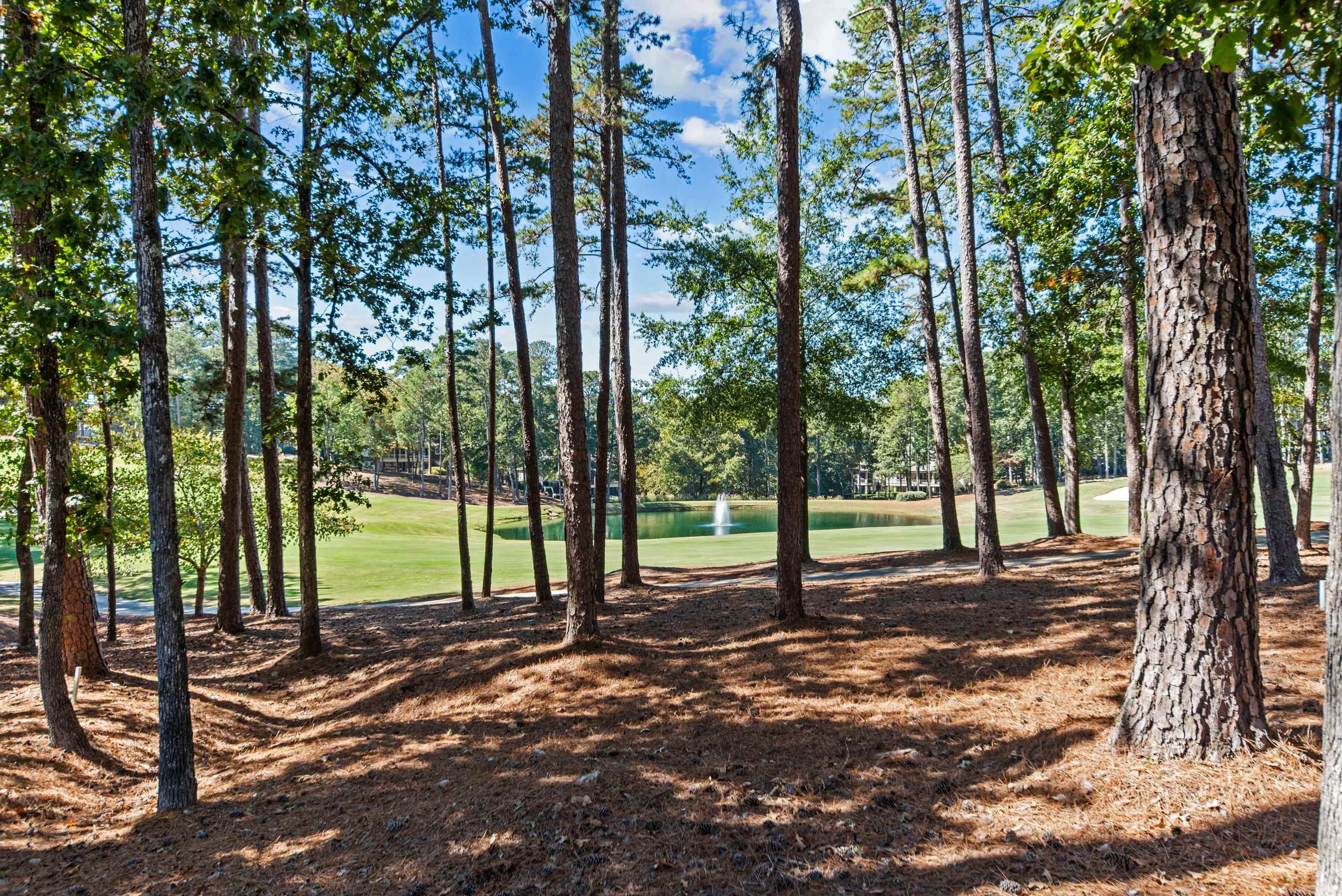 1191 LINGER LONGER DRIVE, Greensboro