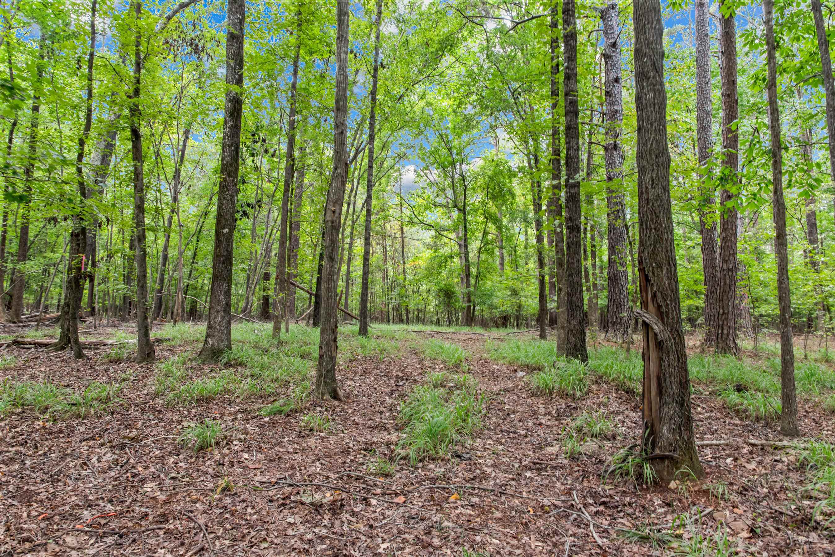 149 CAROLYN DRIVE # 47