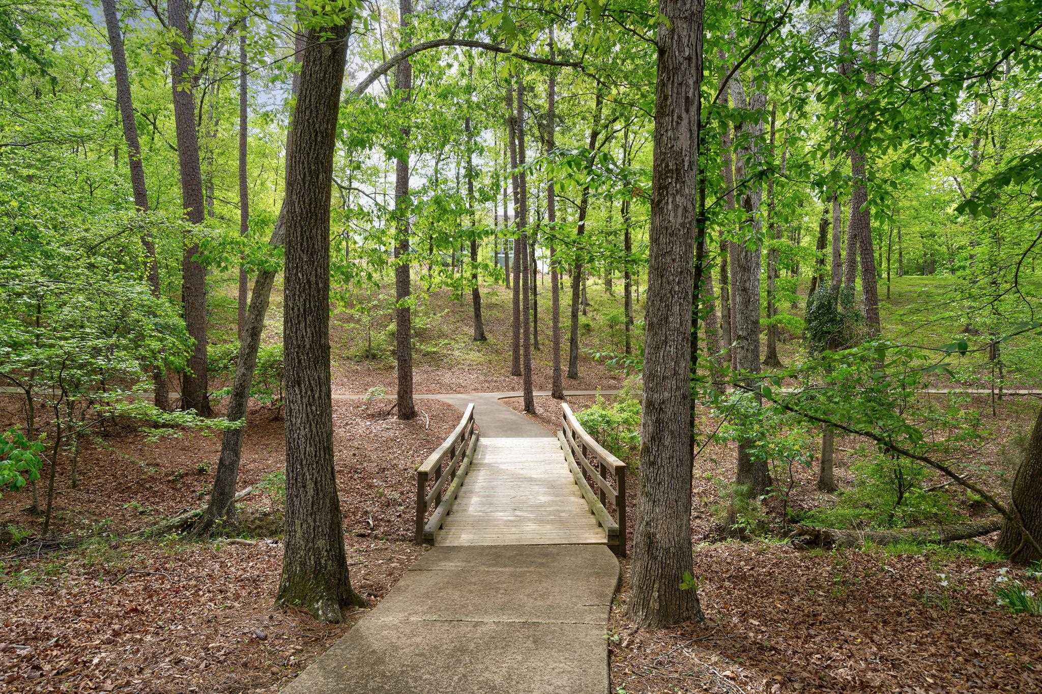 1080 JONES BLUFF COURT