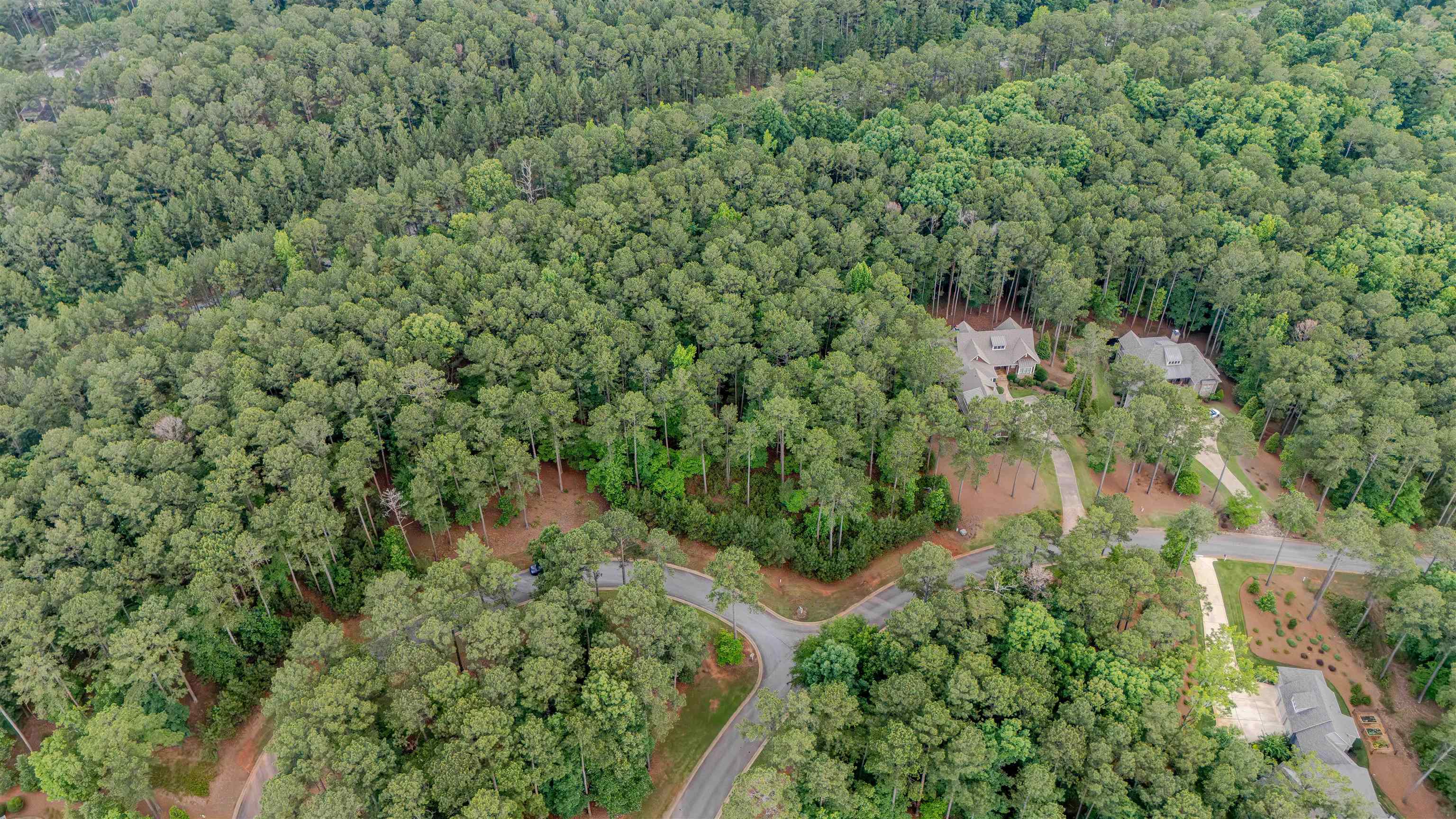 1080 MILL CREEK # 29