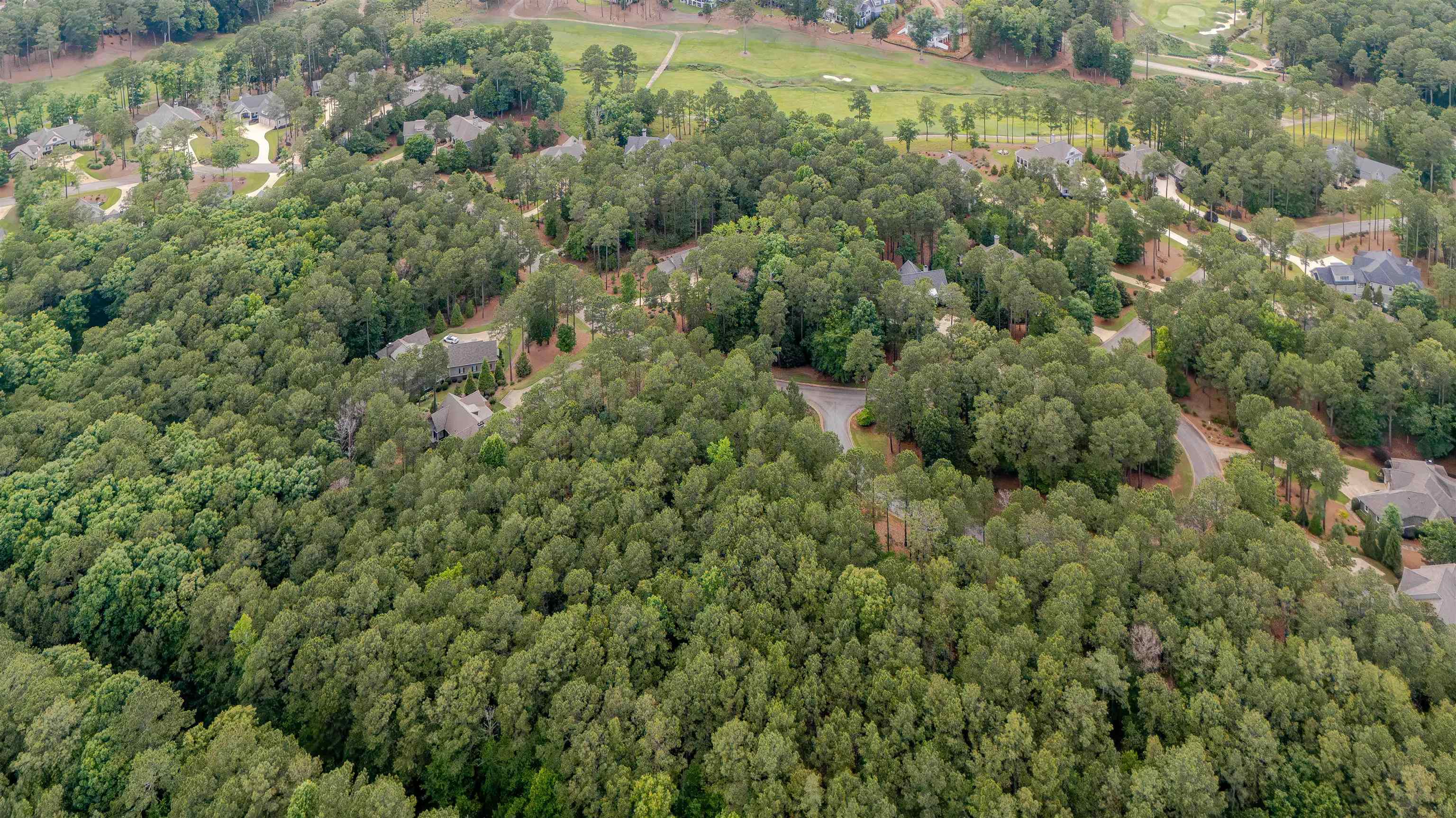 1080 MILL CREEK # 29