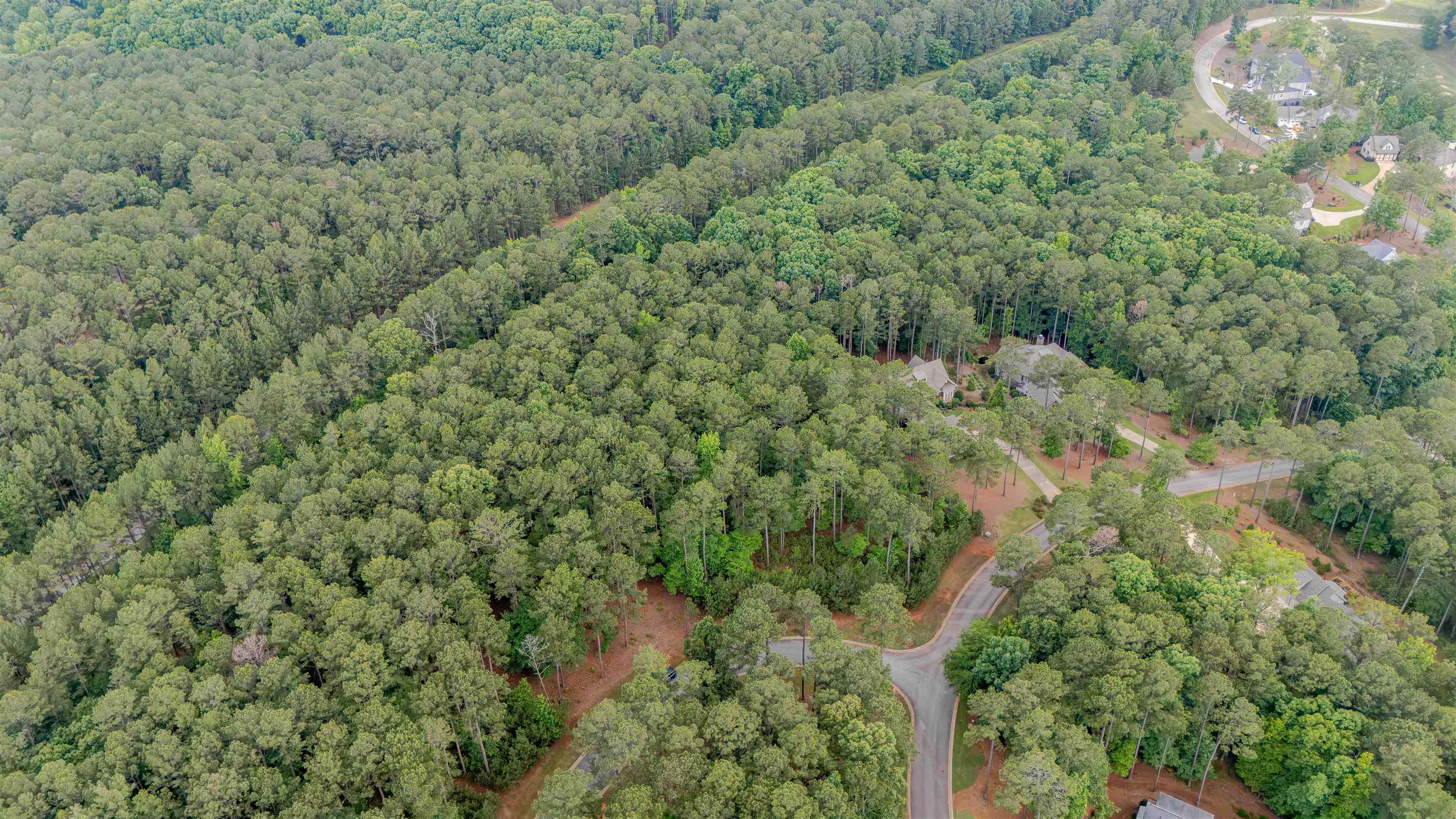 1080 MILL CREEK # 29