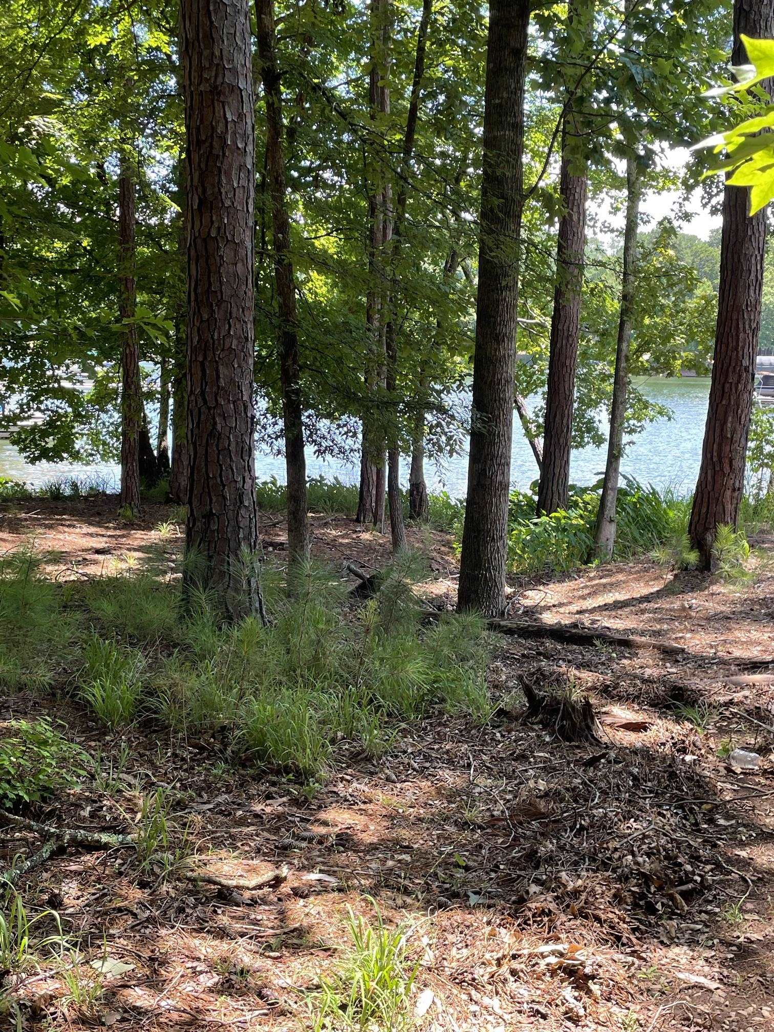 1131 PARROTTS COVE ROAD # 159