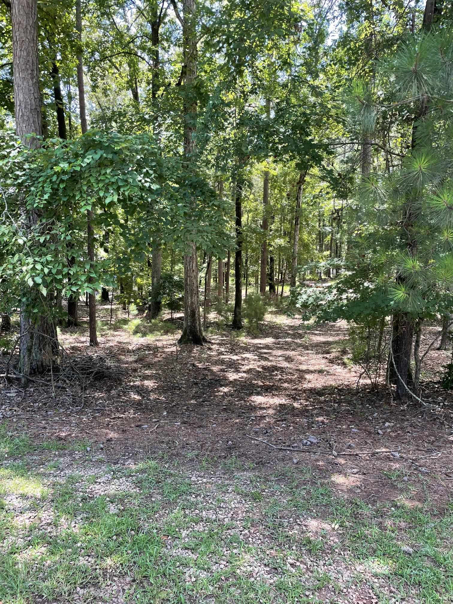 1131 PARROTTS COVE ROAD # 159