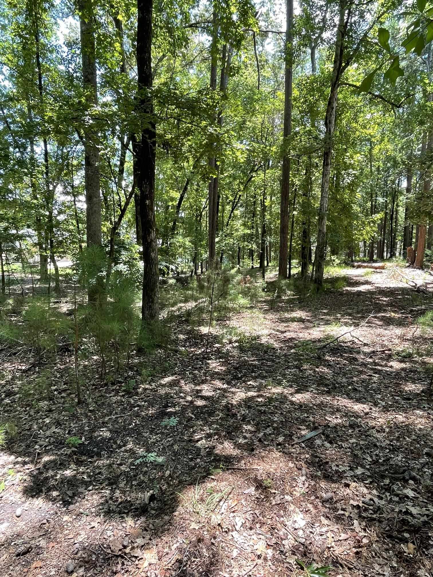 1131 PARROTTS COVE ROAD # 159