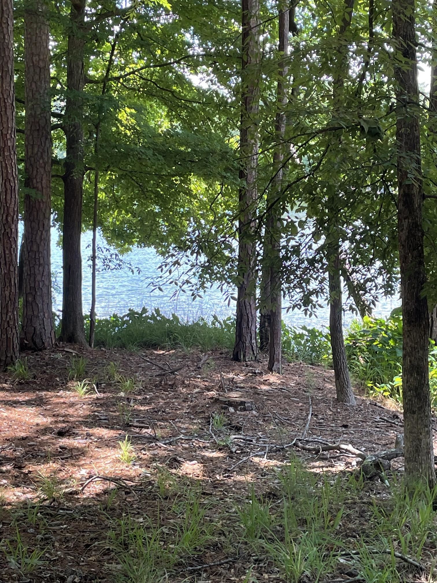 1131 PARROTTS COVE ROAD # 159