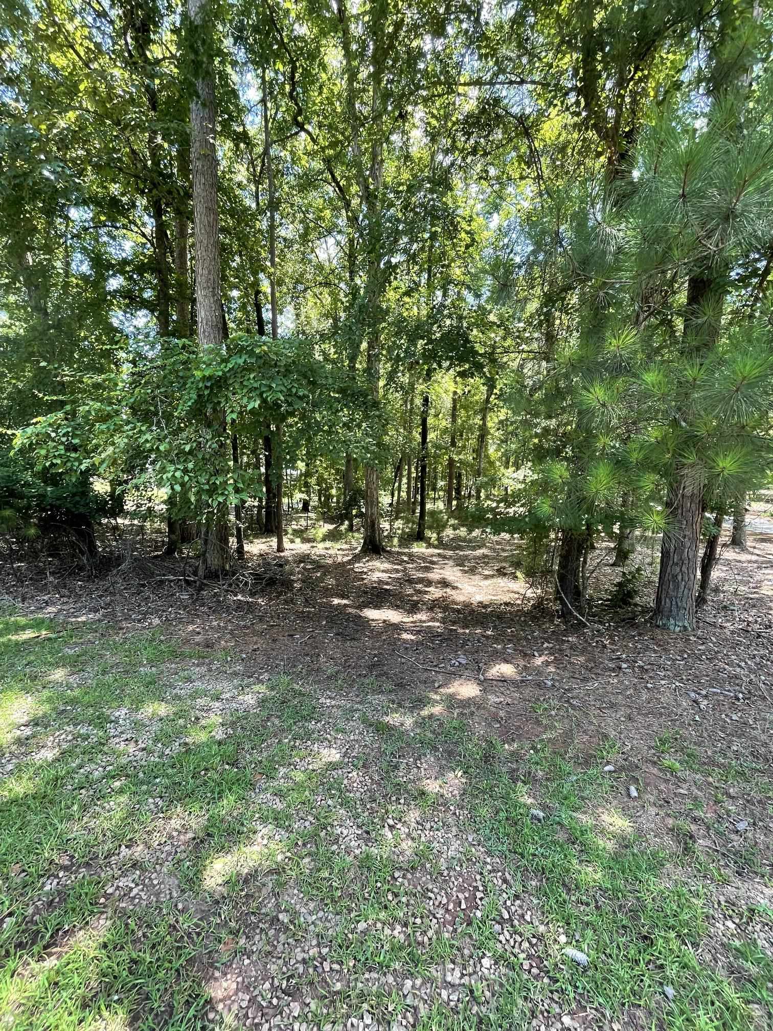 1131 PARROTTS COVE ROAD # 159