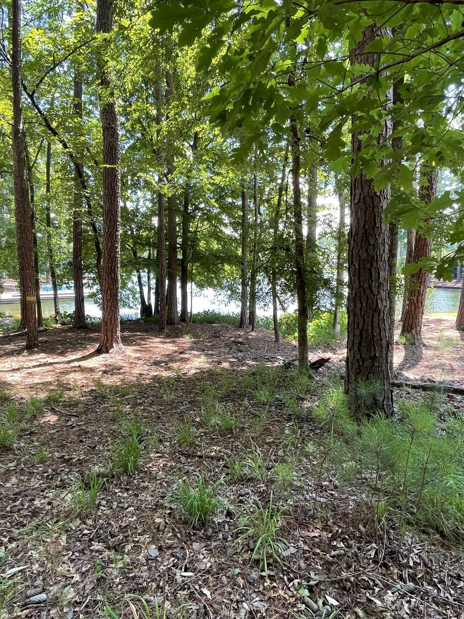 1131 PARROTTS COVE ROAD # 159