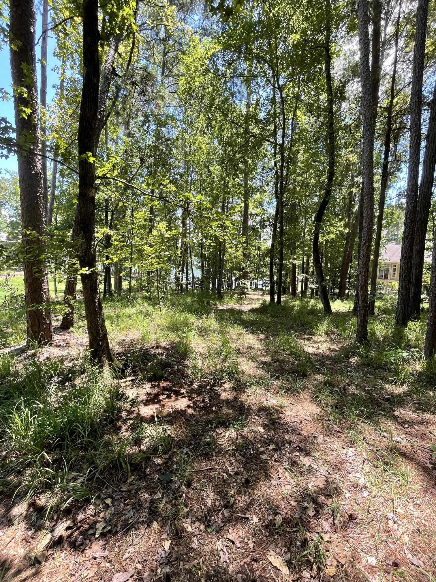 1131 PARROTTS COVE ROAD # 159