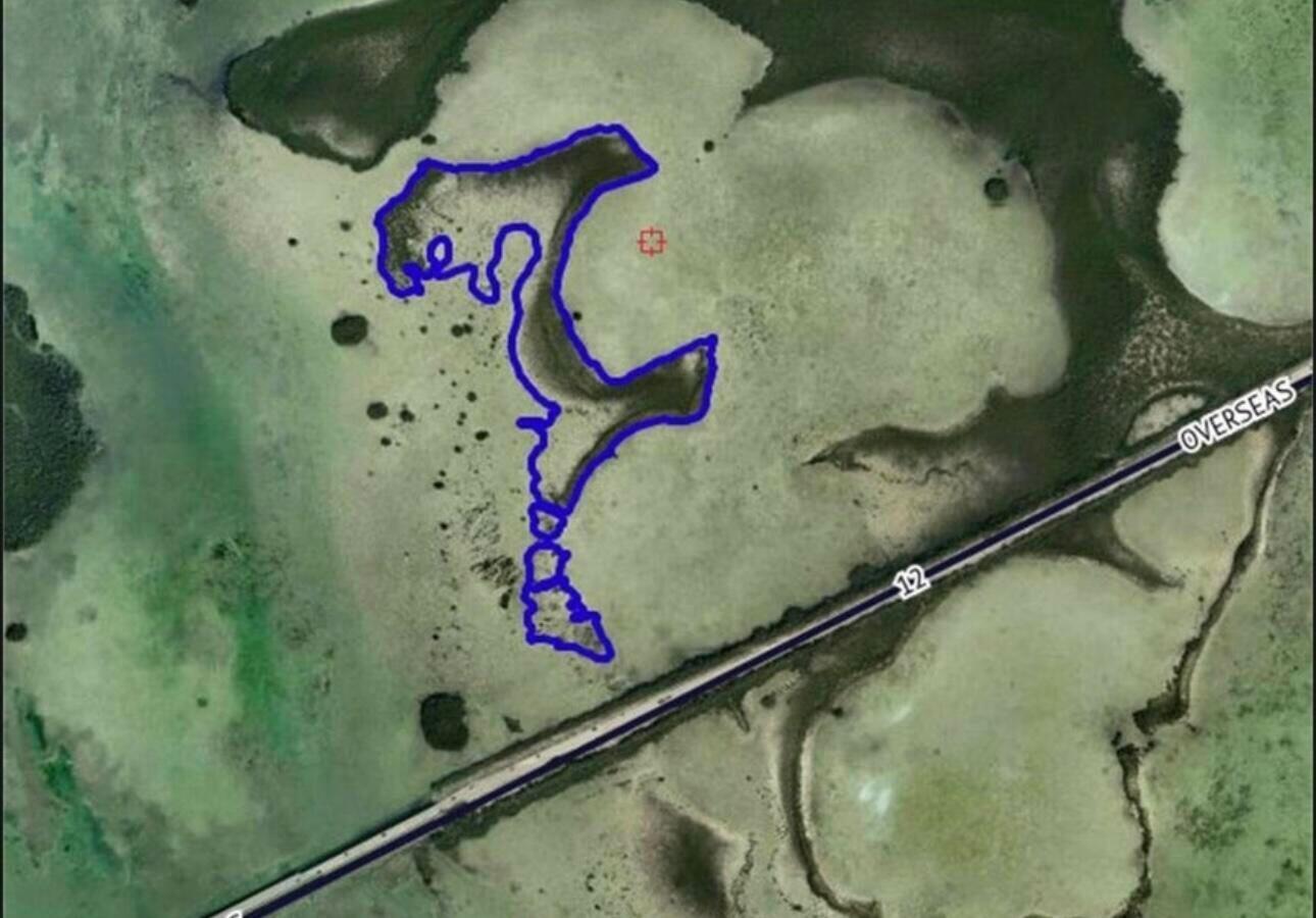 14 67 26 Saddlebunch Key