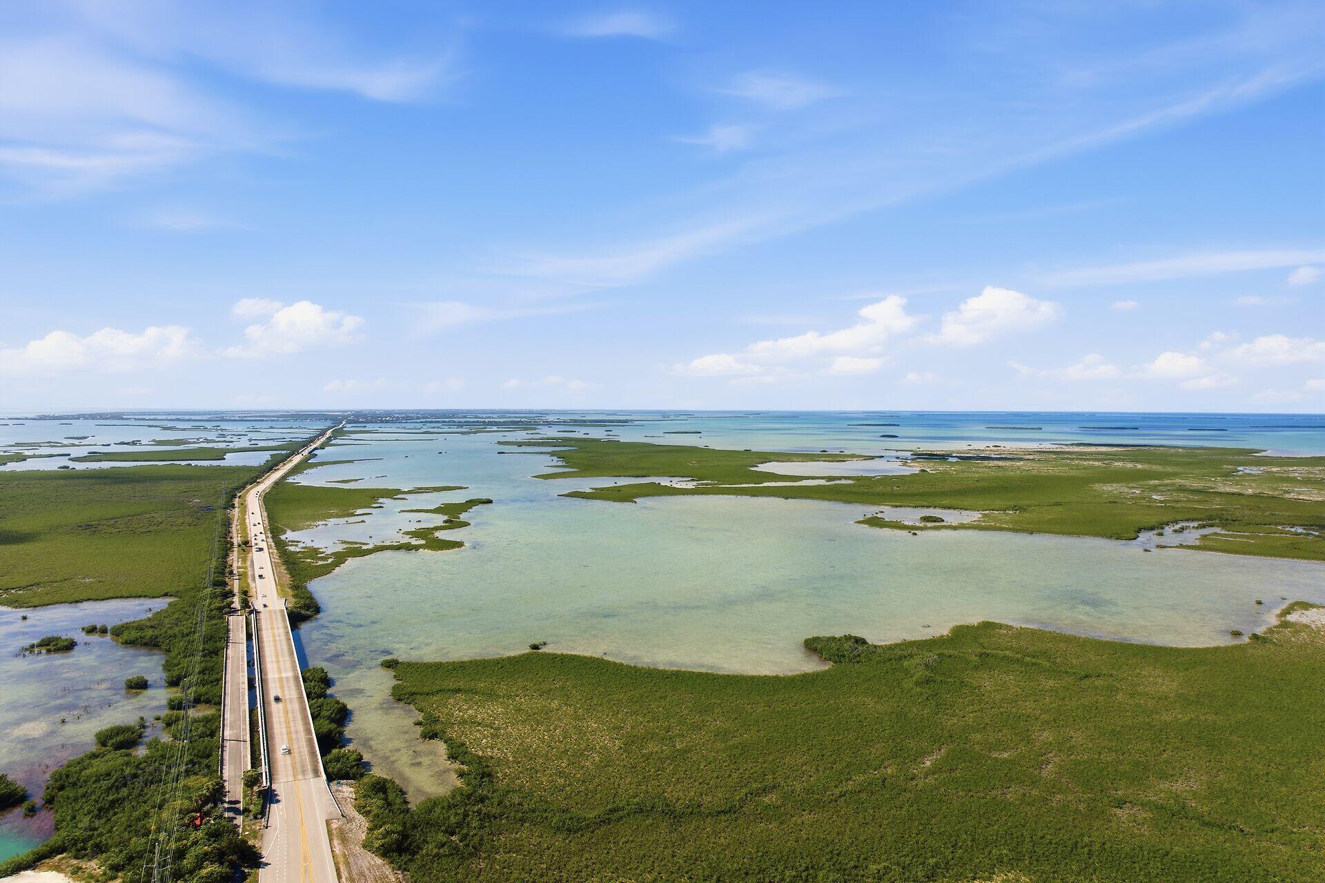 14 67 26 Saddlebunch Key