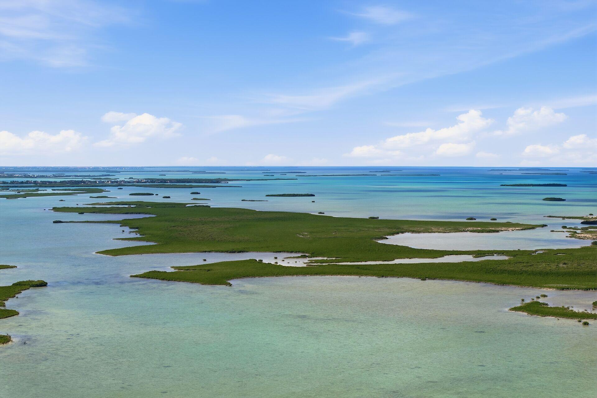 14 67 26 Saddlebunch Key