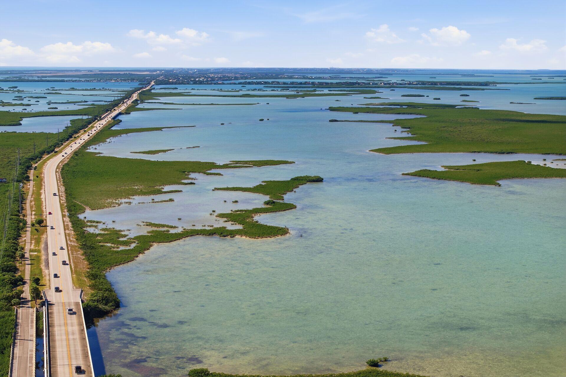 14 67 26 Saddlebunch Key