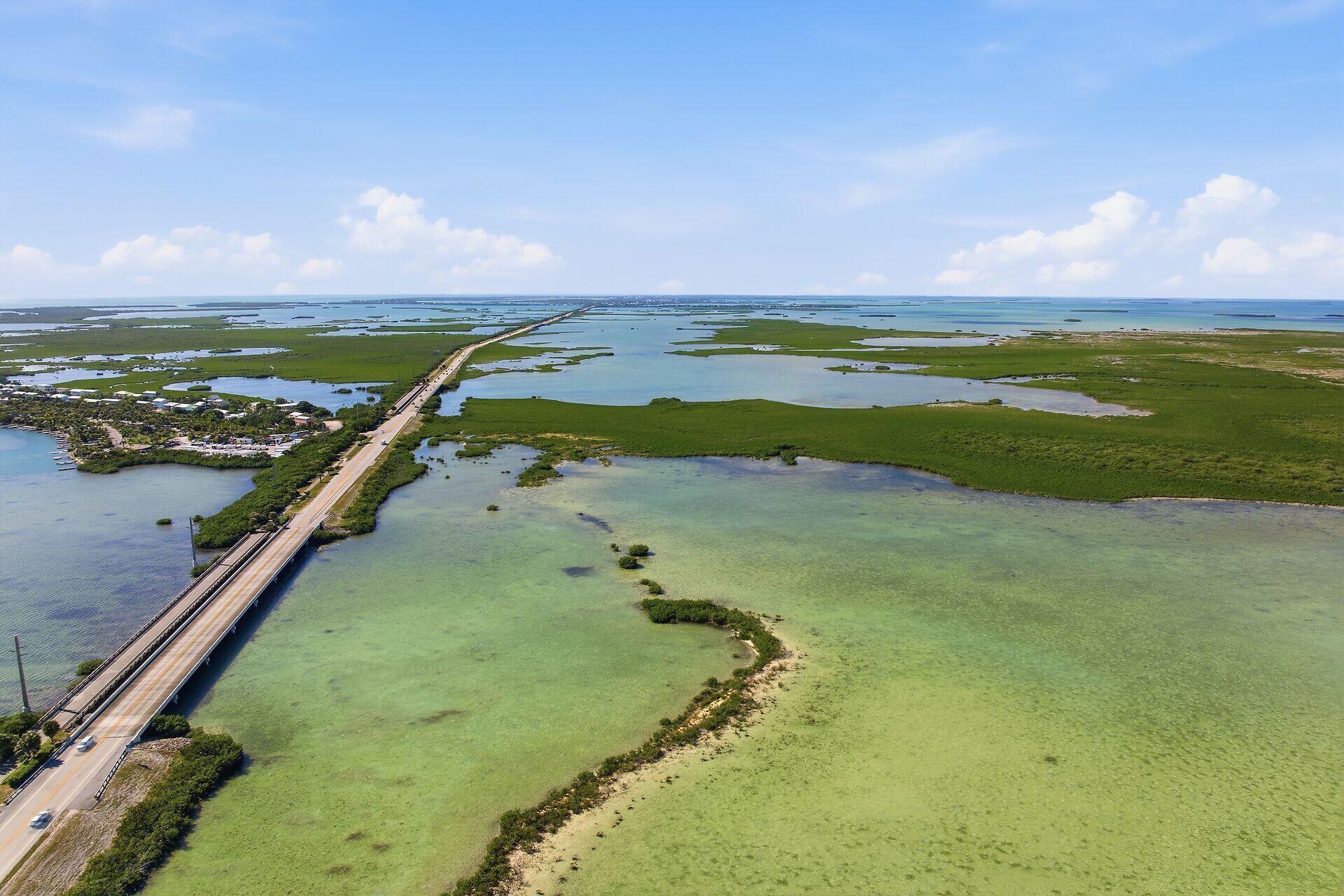 14 67 26 Saddlebunch Key