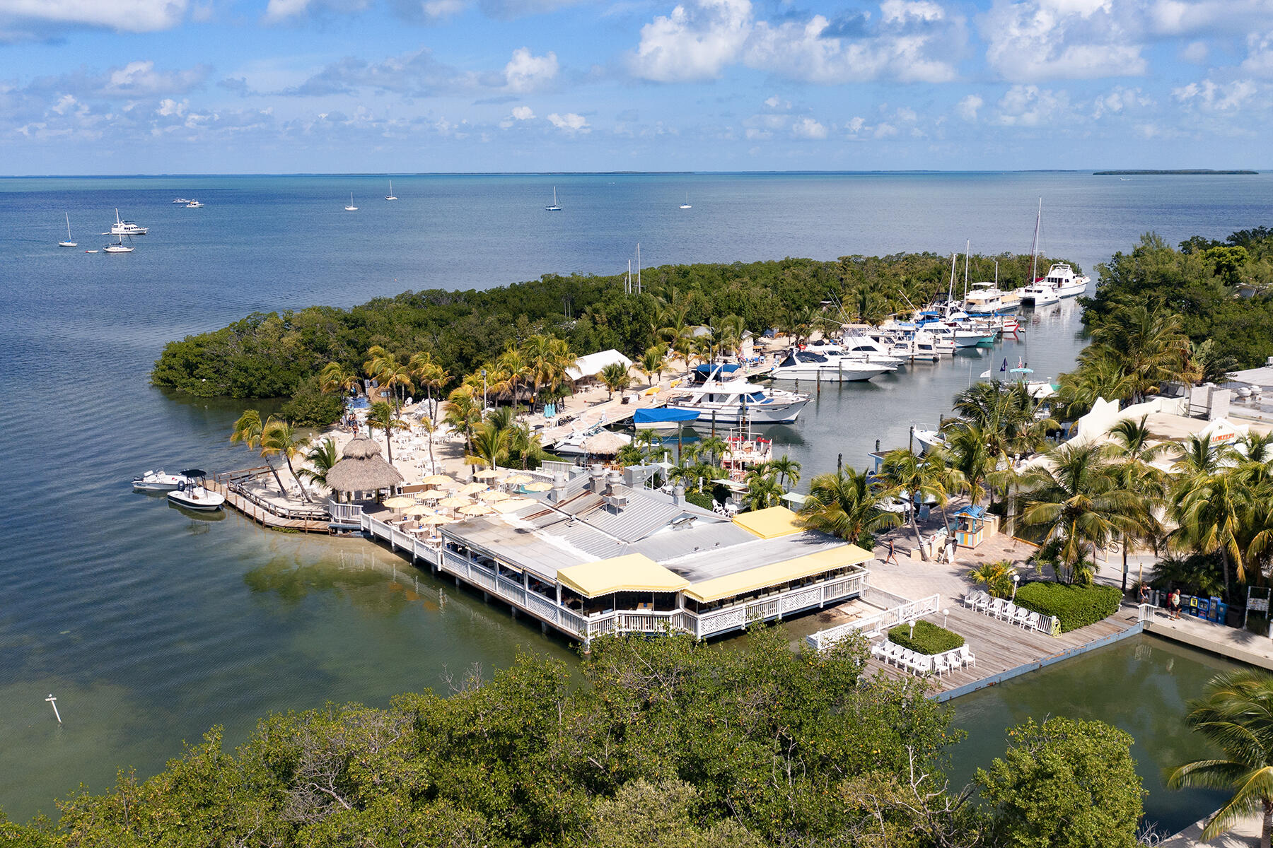 96 Madeira Road # 10