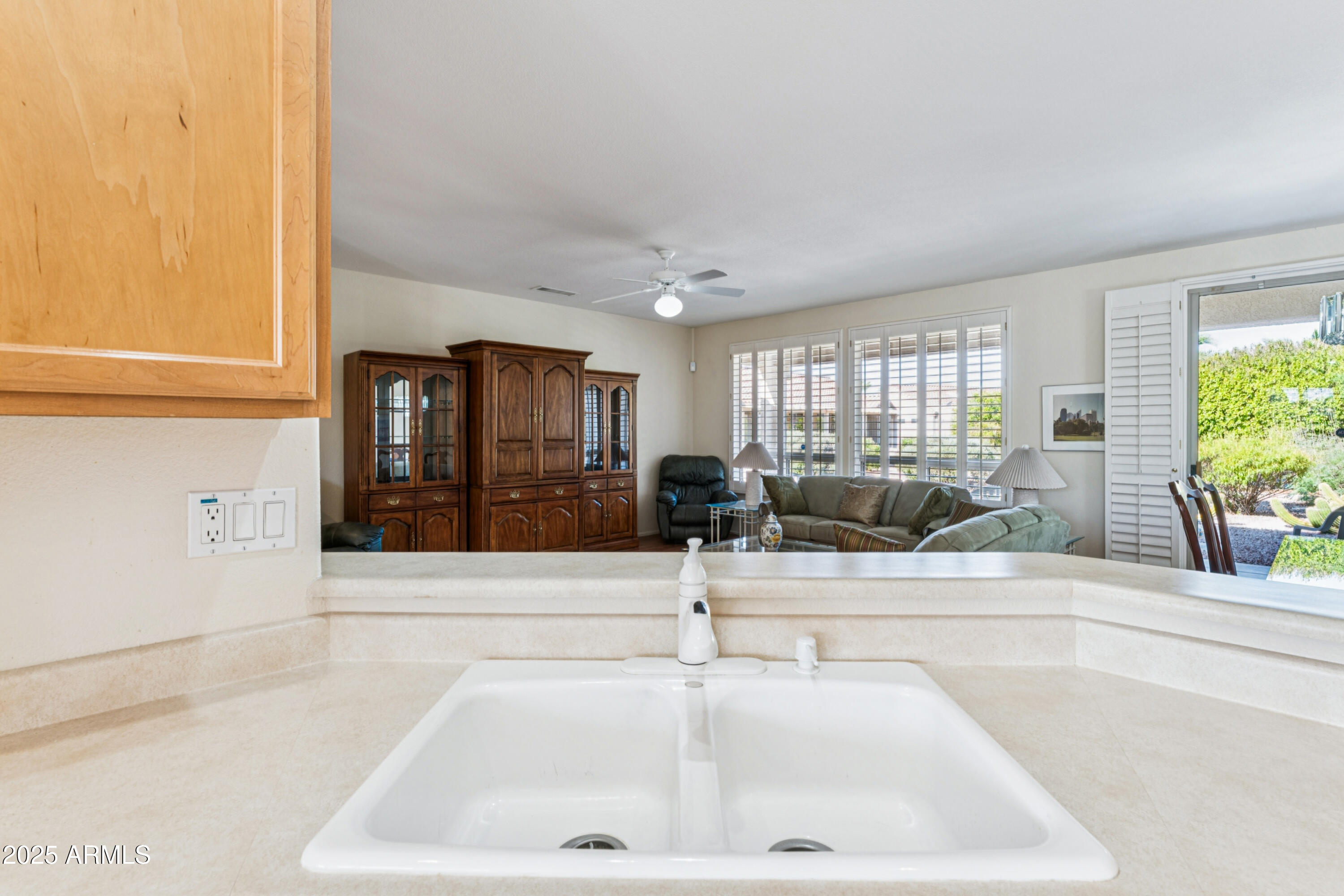 19472 N MARBLE CANYON Court