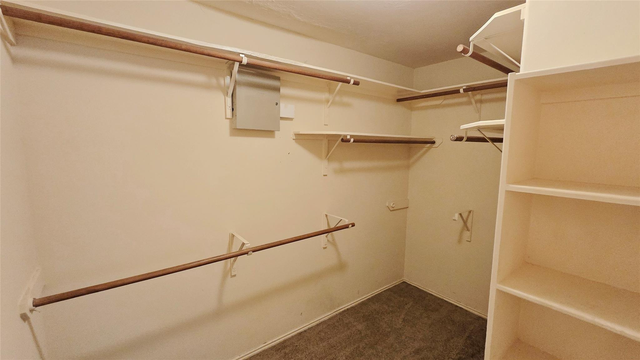 6111 Plantation Forest Drive