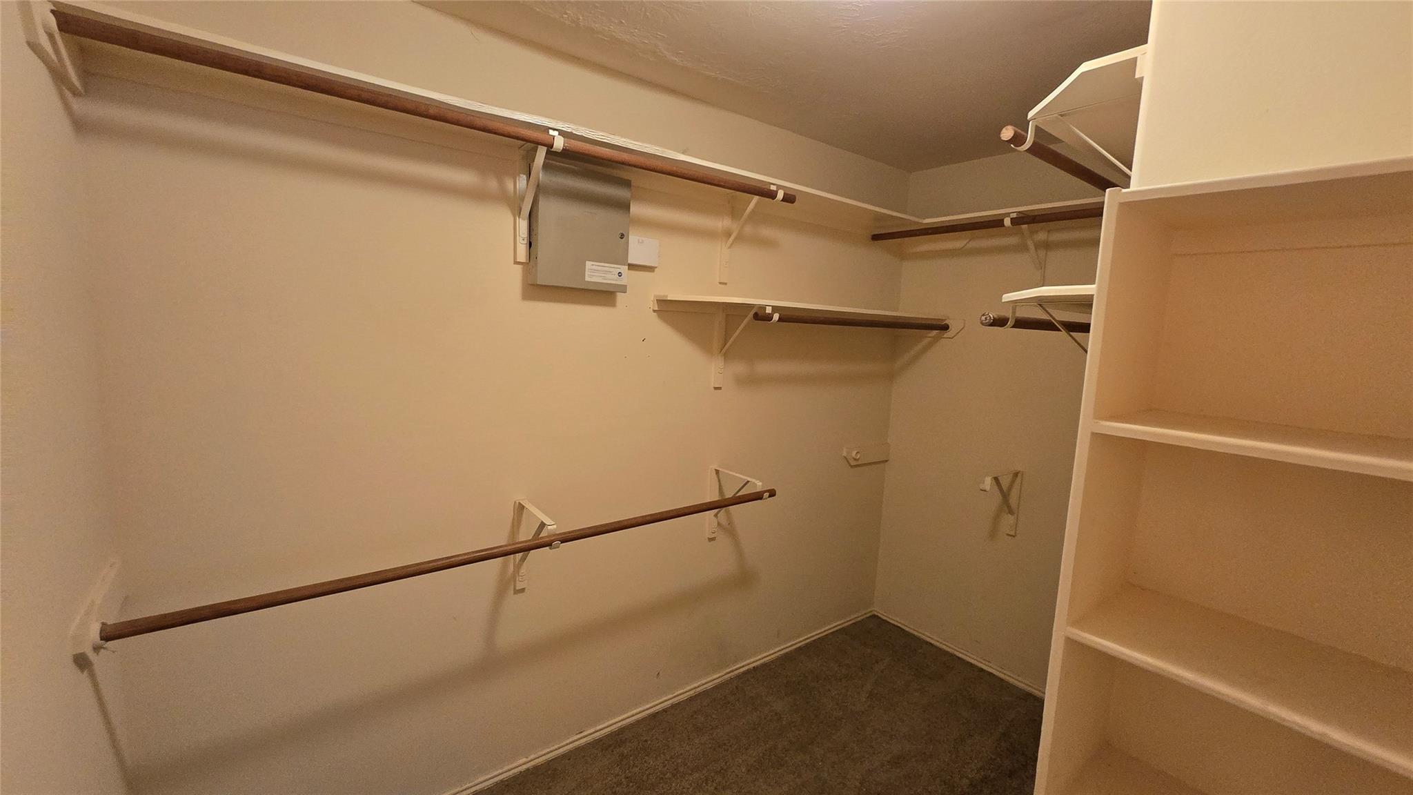 6111 Plantation Forest Drive