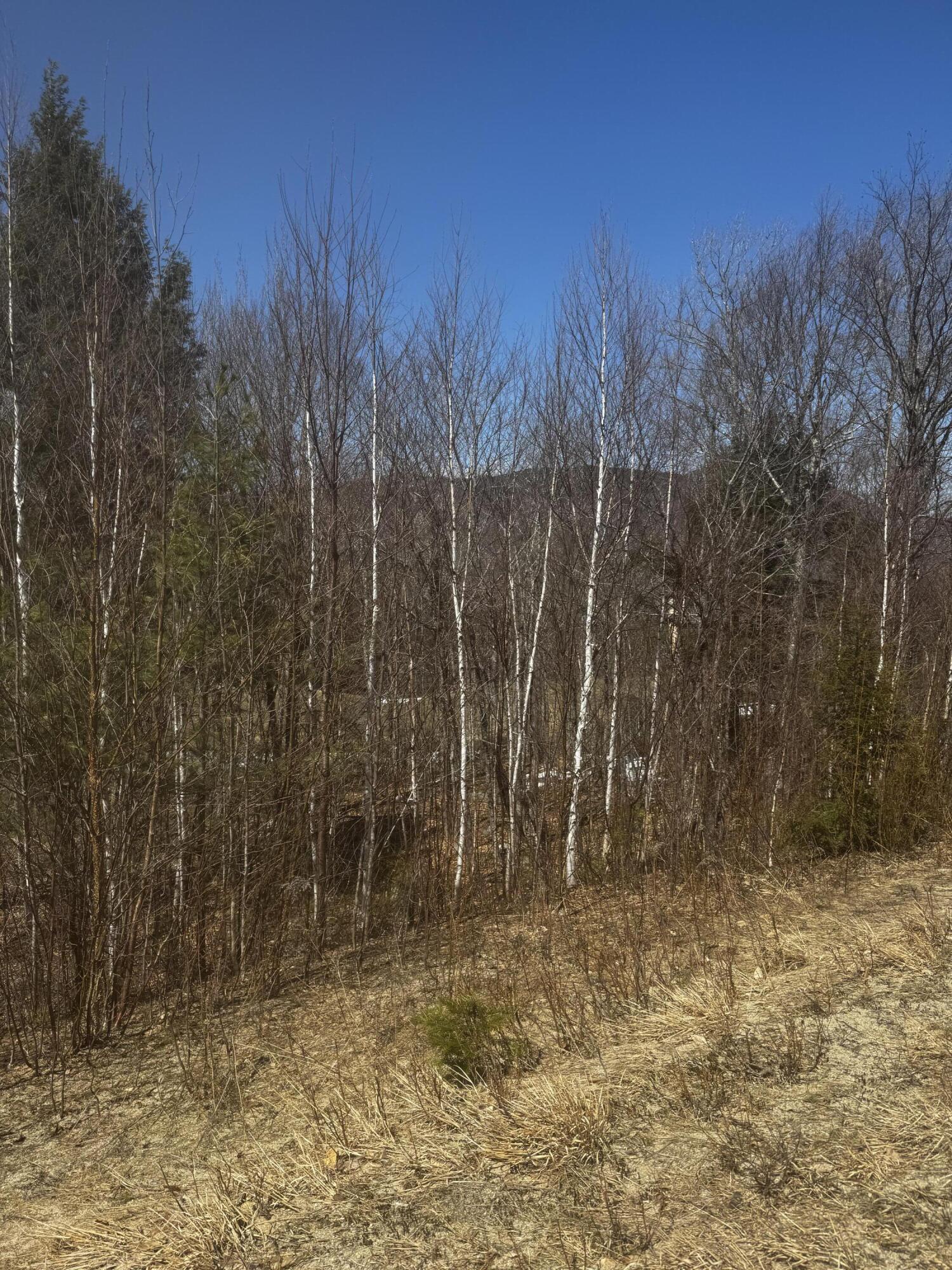 Lot 26 Wilderness Drive