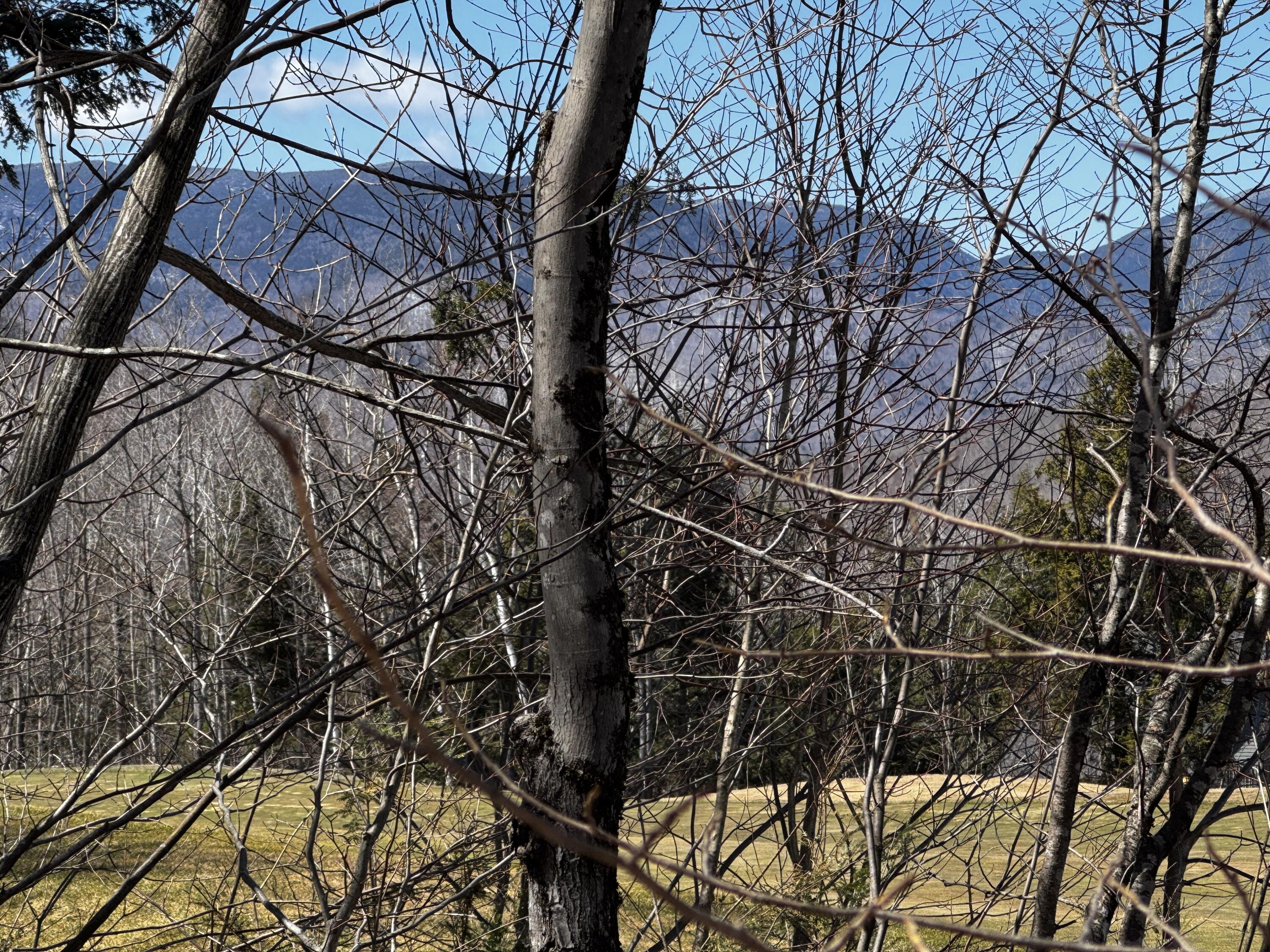 Lot 26 Wilderness Drive