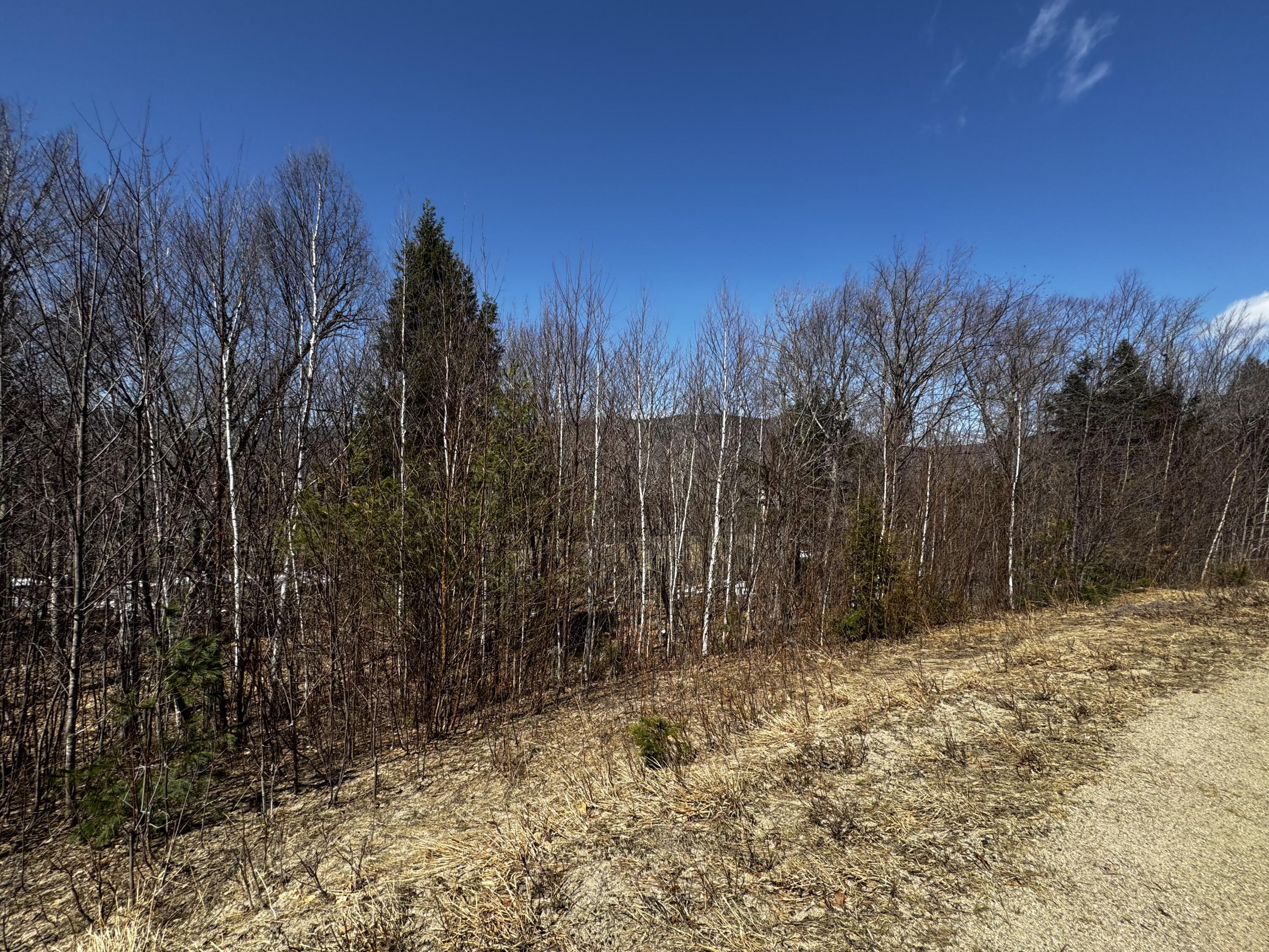 Lot 26 Wilderness Drive