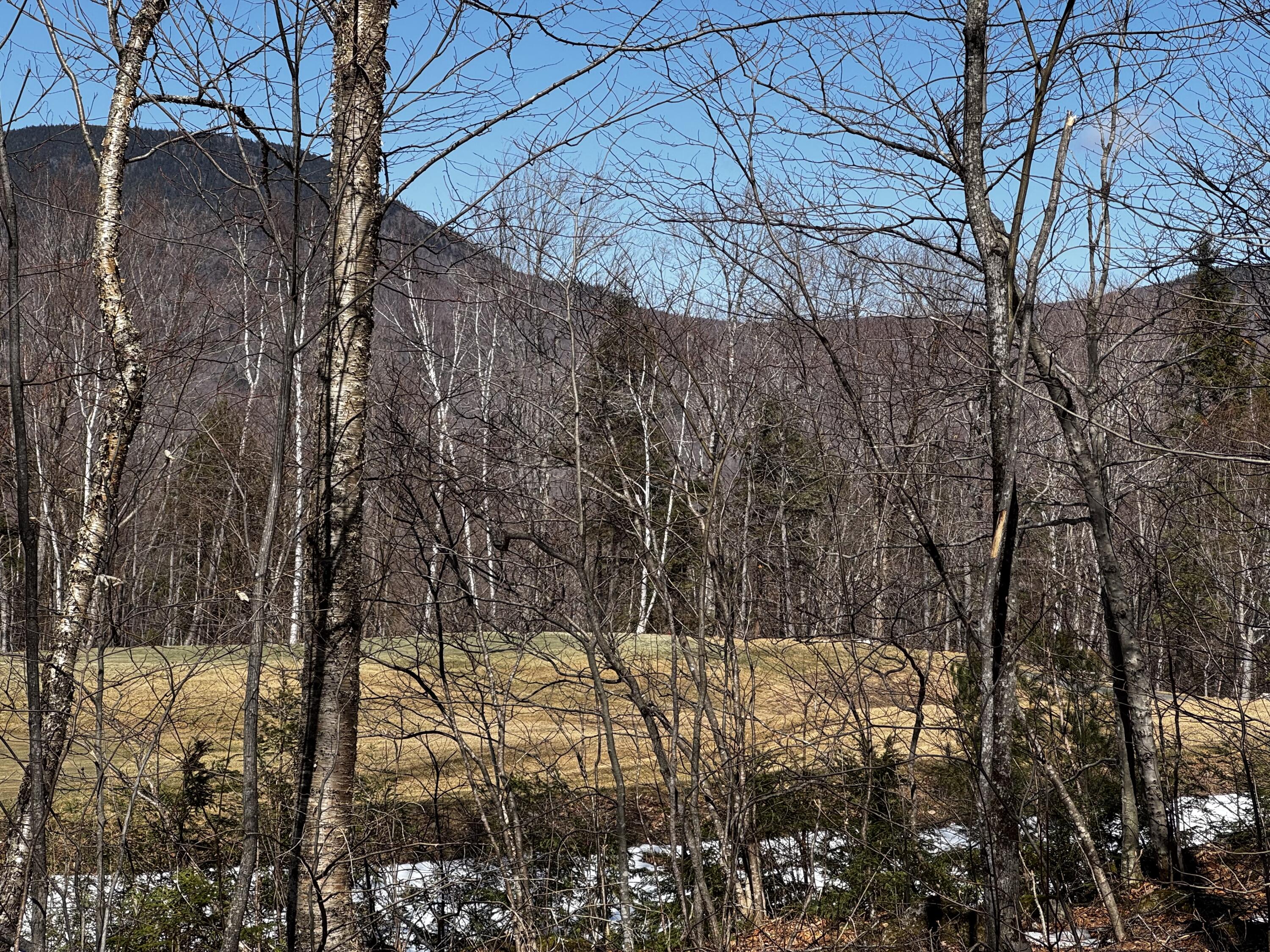 Lot 26 Wilderness Drive