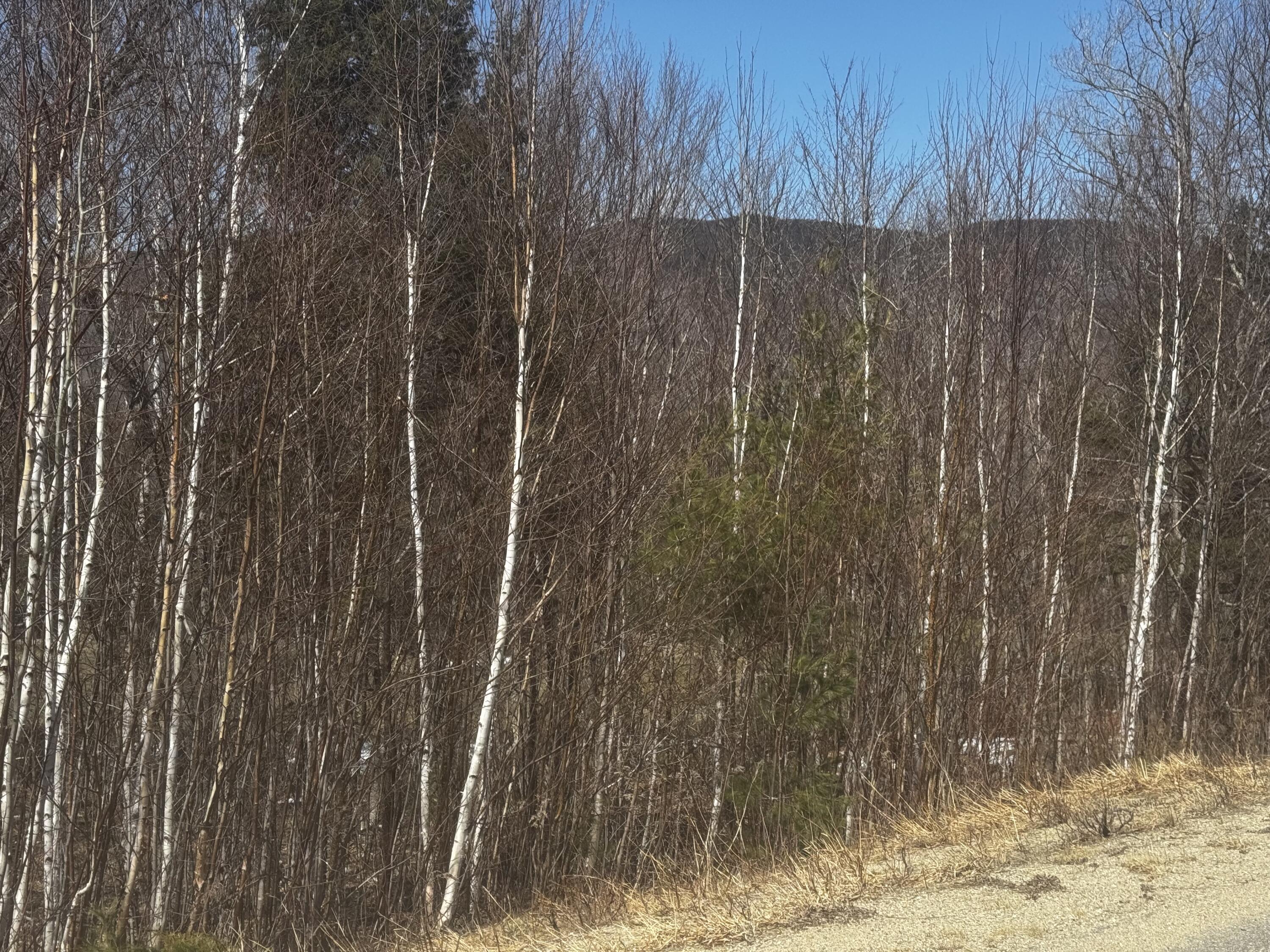 Lot 26 Wilderness Drive