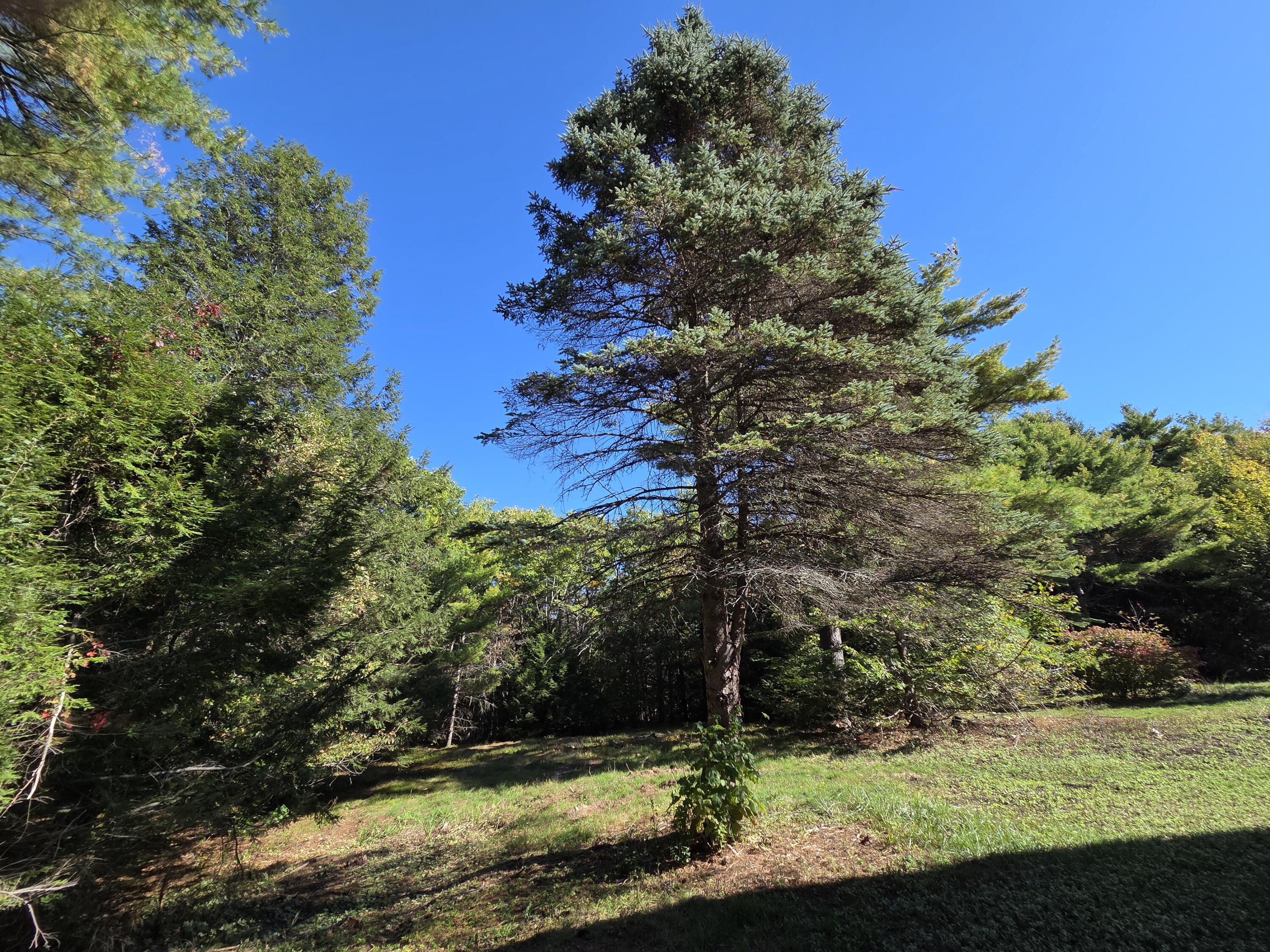 230 Ward Road, Augusta