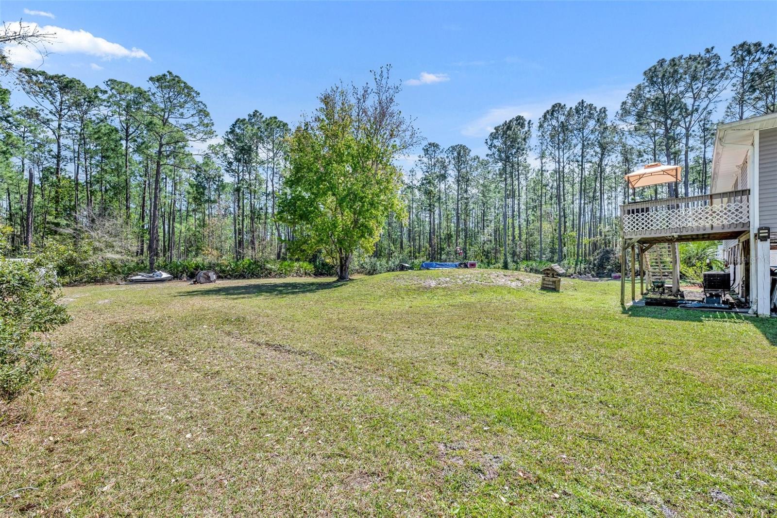 1605 GUAVA LN