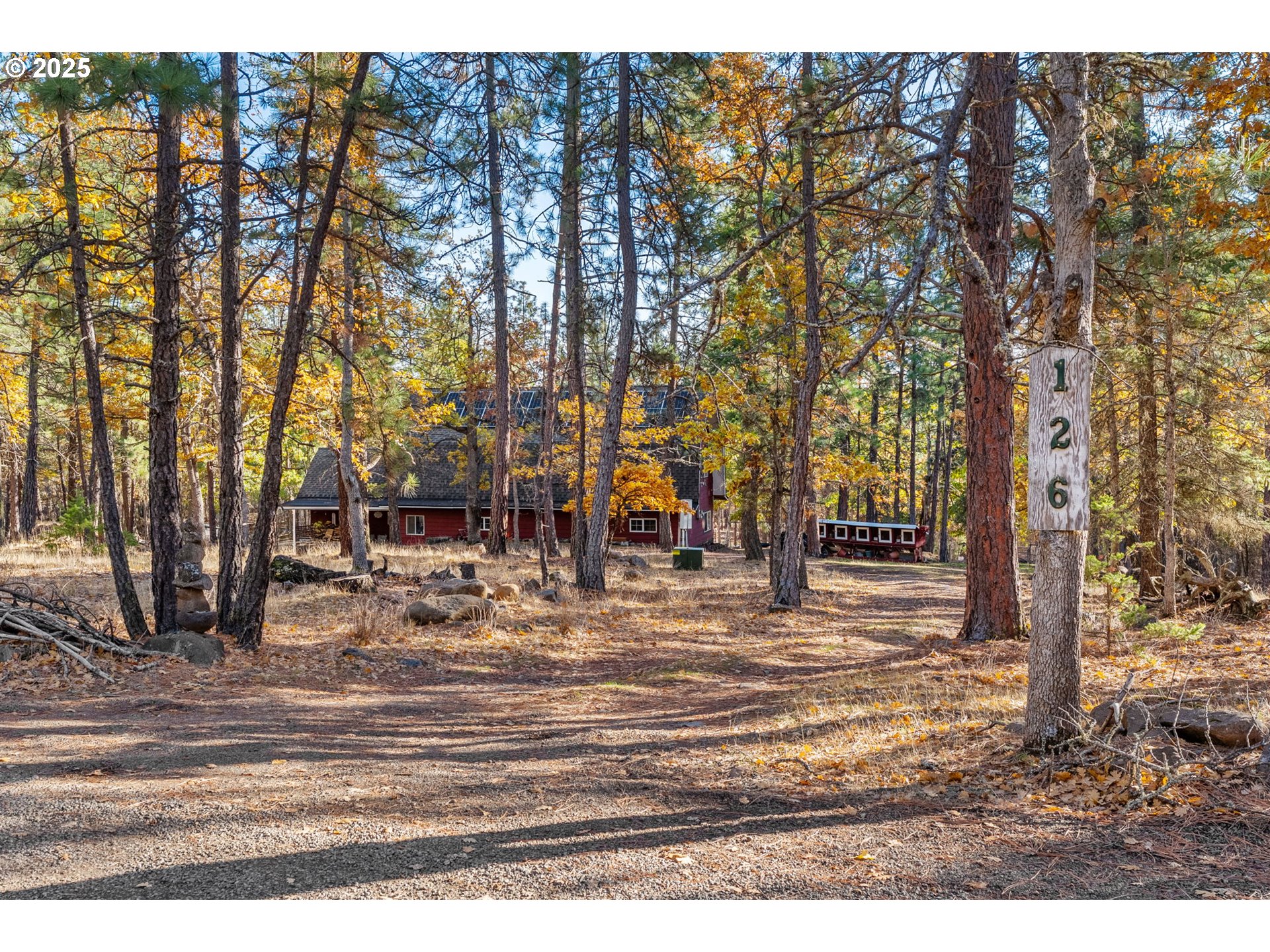 126 NOBLE FIR