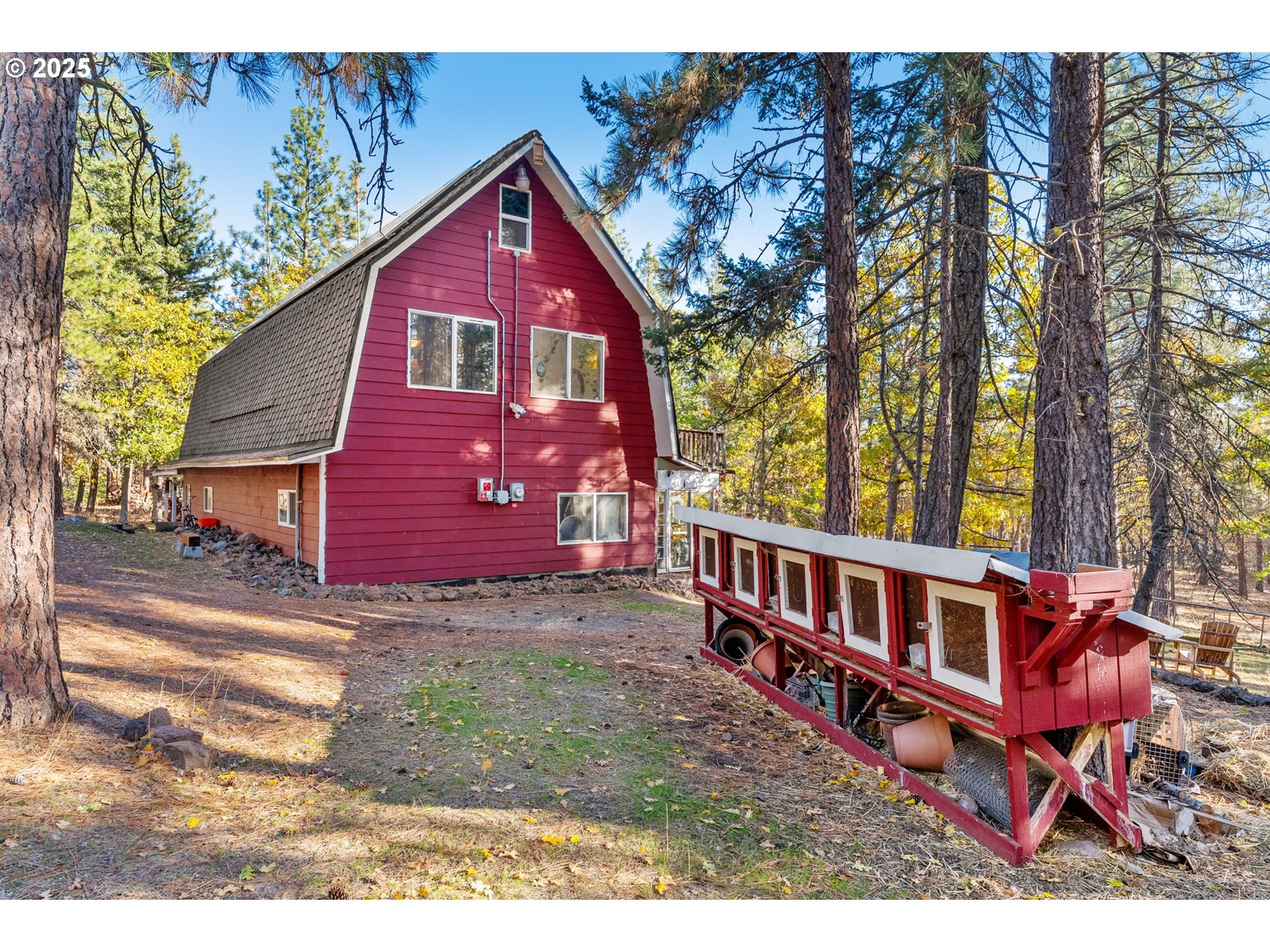 126 NOBLE FIR